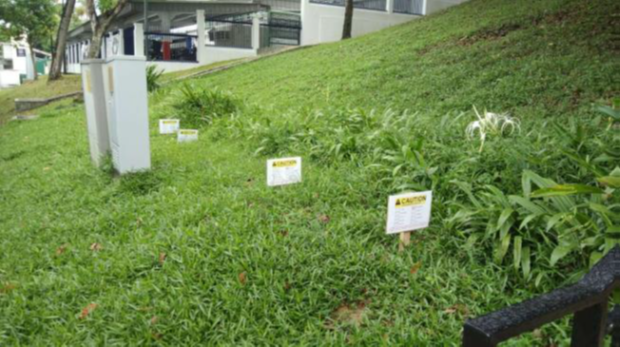 physical_utility_markers This is an image of a site with physical utility markers